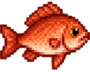 Riffbarsch