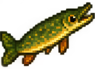 Hecht